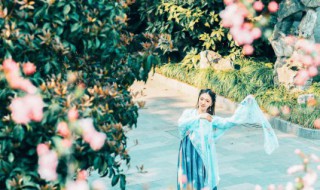 月季花诗句最出名诗句 月季花诗句最出名相关诗句