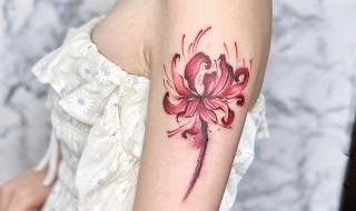 女生纹彼岸花代表什么什么意思 女生纹彼岸花代表意思是什么