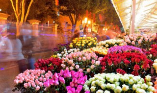 鲜花束的储存方法 关于鲜花束的储存方法