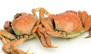 蟹养殖技术与方法 蟹如何养殖