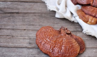 灵芝人工养殖方法 灵芝人工养殖方法是什么