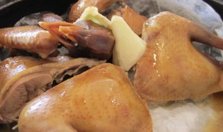 炖乳鸽的做法 炖乳鸽怎么做