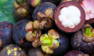 盆栽山竹的养殖方法 盆栽山竹怎么养殖方法