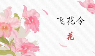 花的诗句大全飞花令 飞花令带花的诗句大全