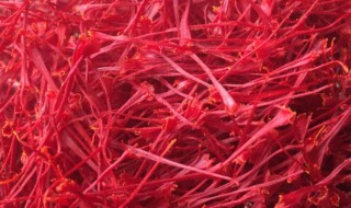 如何挑选好的藏红花 怎么挑选好的藏红花