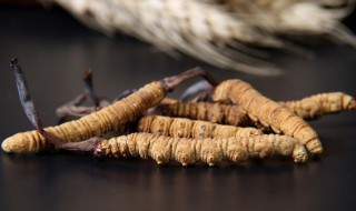 中药冬虫夏草该怎么保存 如何保存冬虫夏草