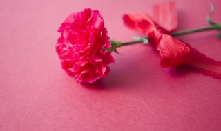 退伍送什么花 退伍送什么花好