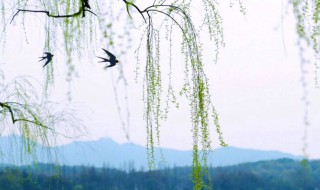 带有春字的诗句 含有春字的诗句有哪些