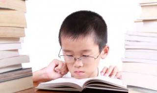 堤的拼音 堤怎么读