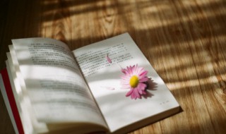 致人而不致于人是什么意思 致人而不致于人的出处