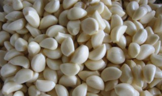 大蒜米的储存方法和时间 大蒜米怎么储存