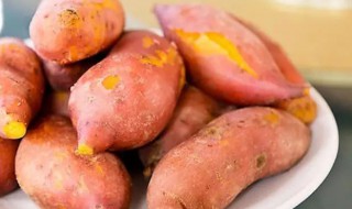 辽宁地瓜储存方法 辽宁地瓜的储存方法