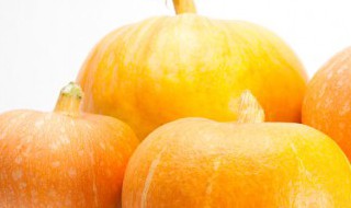 大批量南瓜的冻库储存方法 大批量南瓜的冻库储存方法是什么