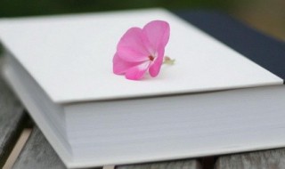 万里赴戎机的机是什么意思 万里赴戎机的出处