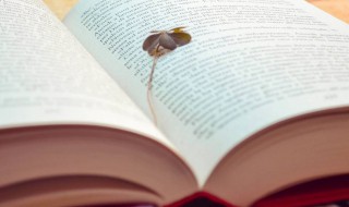 匀字组词 匀字怎么组词