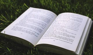 物以类聚下一句是人以群分吗 物以类聚下一句是不是人以群分