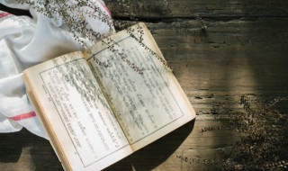 士不可以不弘毅的弘毅是什么意思 士不可以不弘毅的弘毅解释