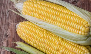 储存嫩玉米粒最好的方法 保存嫩玉米粒最好的方法
