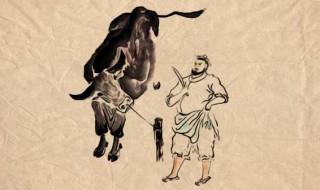 庖丁解牛的故事内容和寓意是什么 庖丁解牛的故事内容和寓意简单介绍