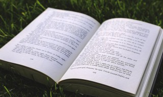 哈利波特主要内容 哈利波特主要内容概括