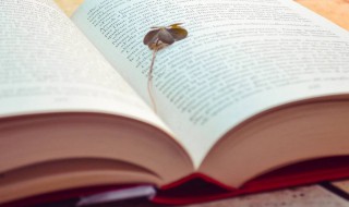 雨的四季主要内容 雨的四季主要内容概括