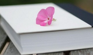 孟母断织中的字词解释 孟母断织的注释