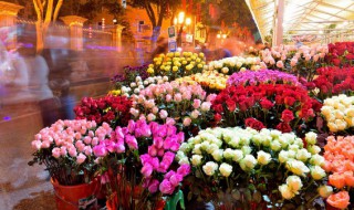 牡丹花下死的花是什么意思 牡丹花下死的花的含义