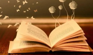 江村晚眺的眺解释 江村晚眺的眺意思