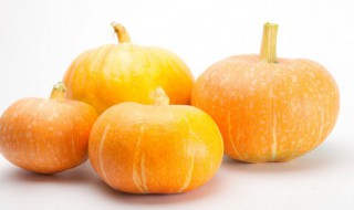 面瓜是什么意思 面瓜的解释