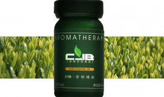 茶树精油可以去痘印吗 茶树精油去痘印的功效