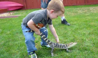 2岁孩子叛逆期爸妈如何处理 怎么应对2岁孩子的叛逆期