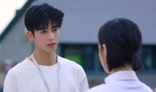 下一站是幸福共多少集 下一站是幸福剧情简介