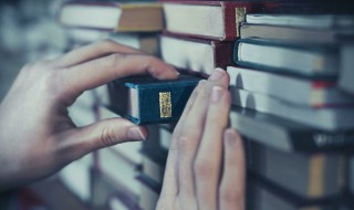 刘阳是哪部小说主角 你看过吗