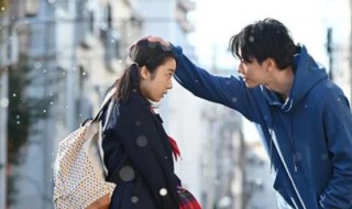 将恋爱进行到底多少集 你都了解多少