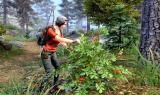 明日之后小树枝怎么弄 明日之后怎么获取小树枝