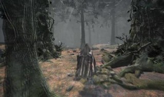 龙草的刷新位置 进来看看