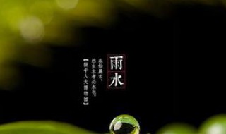 雨水节气介绍 这个节气天气怎样