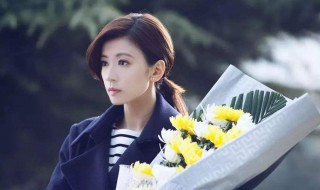 大爱无敌电视剧分集剧情 素云由谁饰演