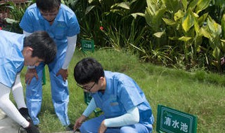 农村洗衣用水和生活用水怎么处理 怎样处理农村生活废水