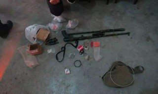 晚上打斑鸠怎么打 下面8个步骤帮你解决