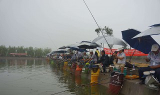 打窝配方和钓饵配方 这款配方真是大家的福音哇