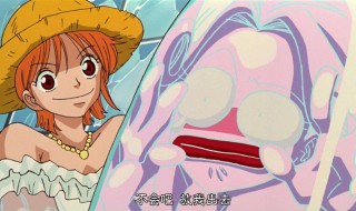海贼王甜心皇后哪集 关于海贼王的简介信息