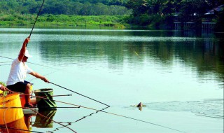 乙字钩钓鱼有什么好处 你知道吗？