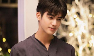 元宋贺繁星复合第几集 下一站是幸福剧情简介