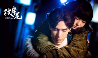 彼岸花电视剧什么时候播 该剧讲述了什么故事