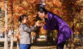 何倩是什么电视剧里的人 大家可以去看看