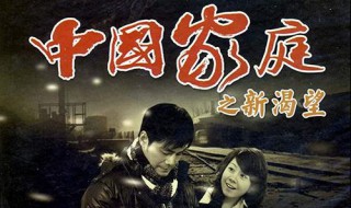 中国家庭之新渴望电视剧大结局 中国家庭之新渴望电视剧大结局大剧透