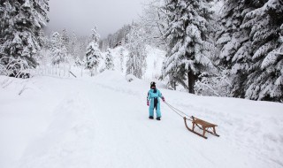 关于滑雪逗比的句子 有哪些关于滑雪的句子