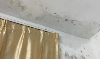 在一楼房间太潮湿怎么解决 住在一楼潮湿怎么办