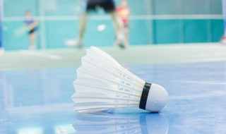 正规羽毛球场地尺寸 正规羽毛球场地尺寸的简介